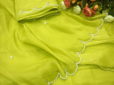 Celebration Style Saree Collection