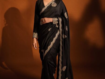 Beautiful Designer Bollywood Saree