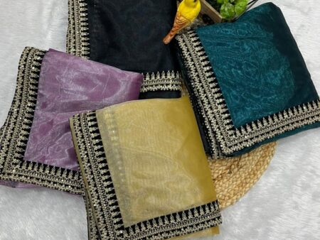 Beautiful Designer Bollywood Saree