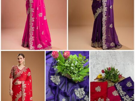 Beautiful Bollywood Designer Saree