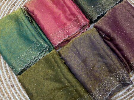 New Arrival Swarovski Border Saree