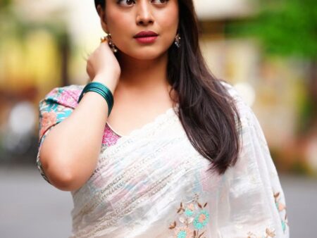 Fancy Embroidery Shimmer Saree Off White